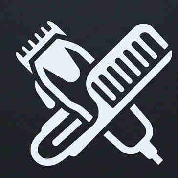 logo img